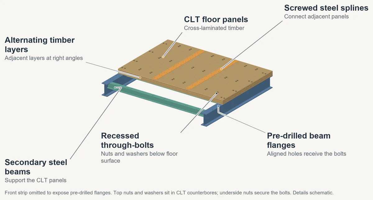 Annotated three-dimensional illustration of clt panel floor on steel beams